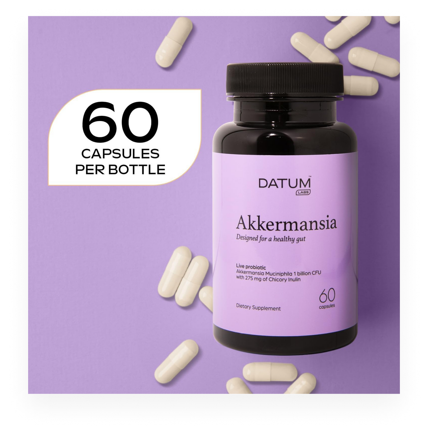 Akkermansia Muciniphila