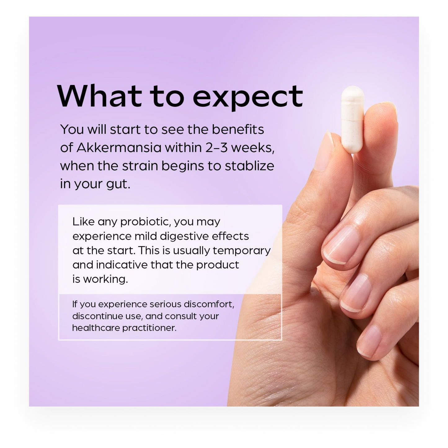 Akkermansia Muciniphila